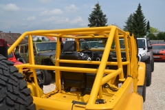 Überrollkäfig (18)